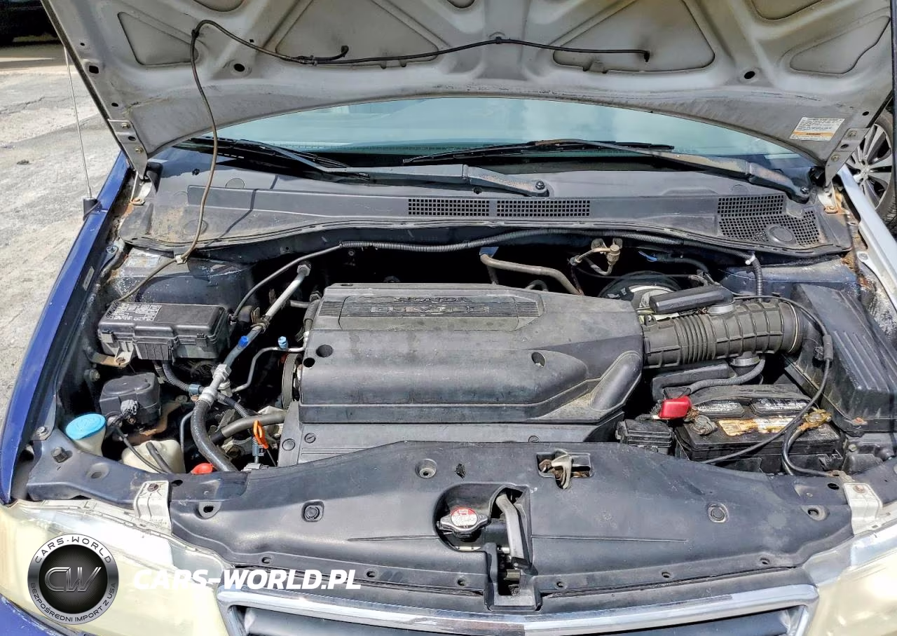 2003 Honda Odyssey Exl VIN:5FNRL18913B121262 - 12