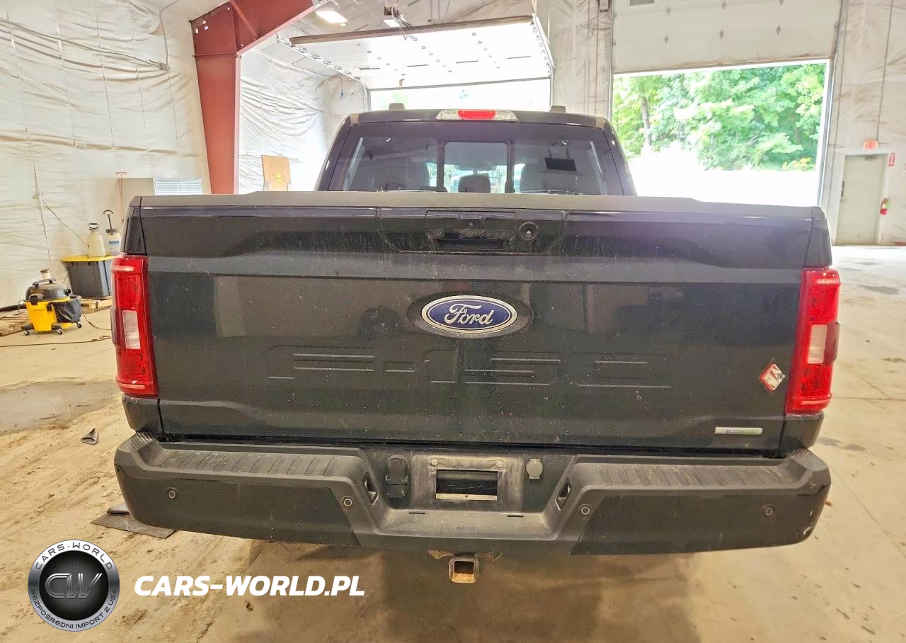2023 Ford F150 Supercrew VIN:1FTFW1E80PKF86761 - 6