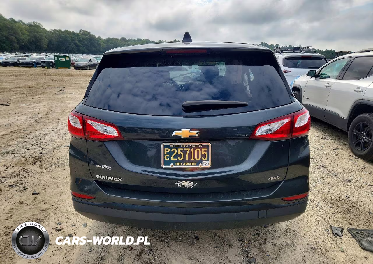 2020 Chevrolet Equinox Ls VIN:3GNAXSEV8LS620017 - 6