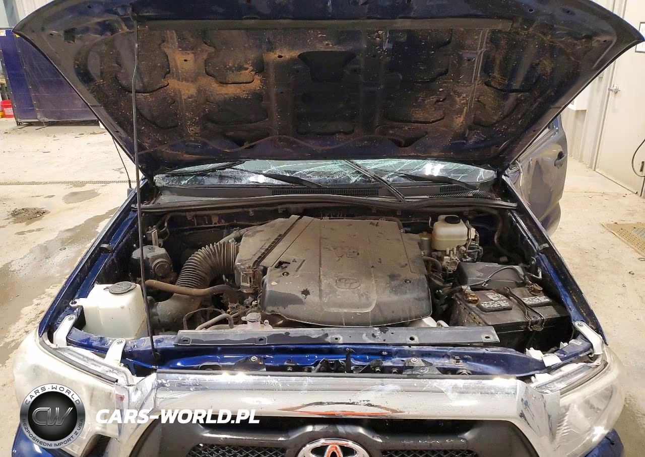 2015 Toyota Tacoma V6 VIN:3TMLU4EN0FM173486 - 11