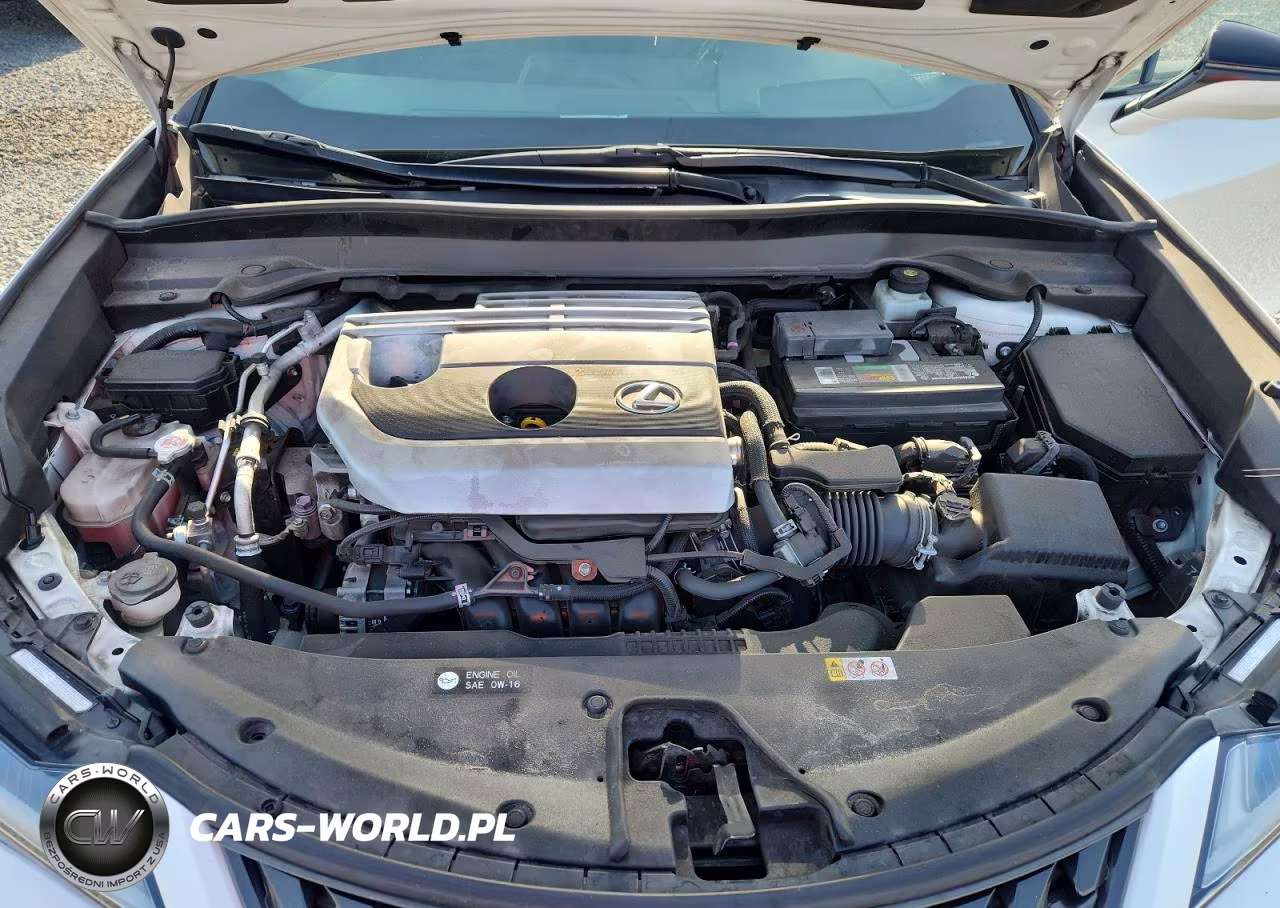 2020 Lexus Ux 200 VIN:JTHP3JBH3L2023486 - 12