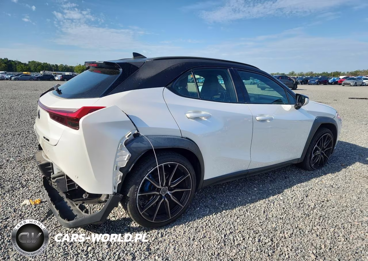 2020 Lexus Ux 200 VIN:JTHP3JBH3L2023486 - 3