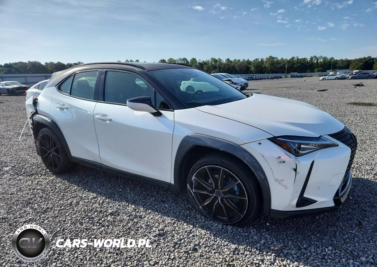 2020 Lexus Ux 200 VIN:JTHP3JBH3L2023486 - 4