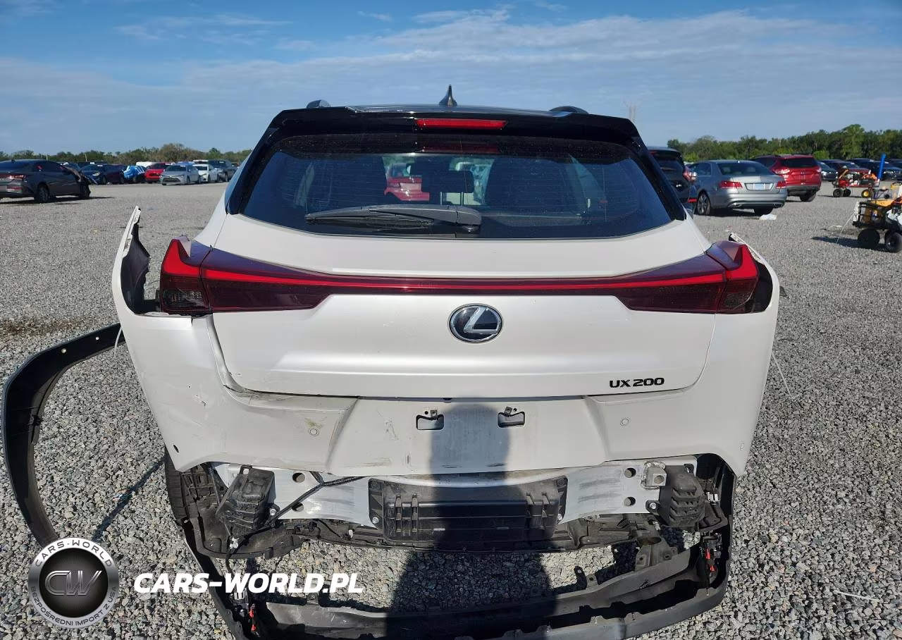 2020 Lexus Ux 200 VIN:JTHP3JBH3L2023486 - 6