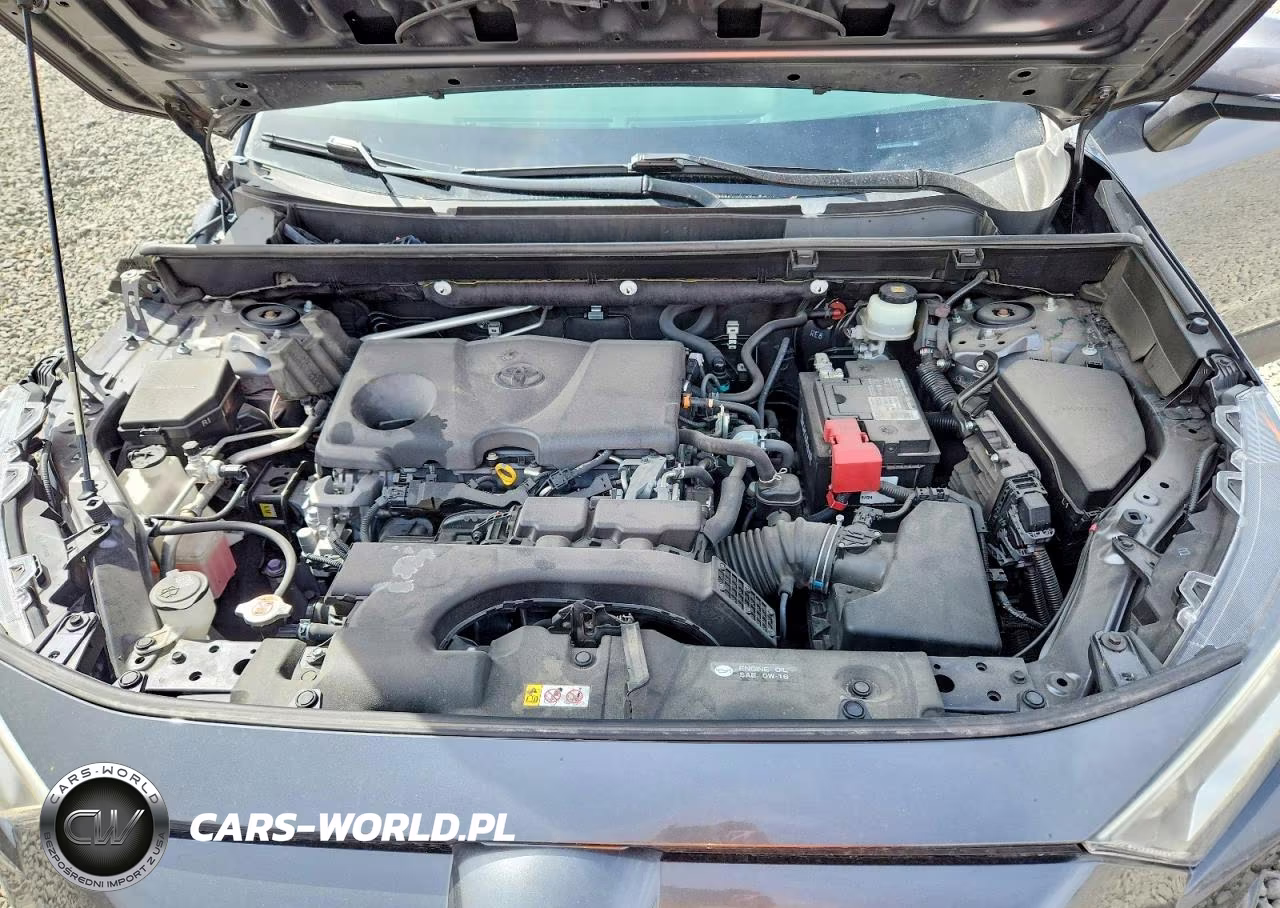 2019 Toyota Rav4 Xle VIN:JTMP1RFV7KD027727 - 11