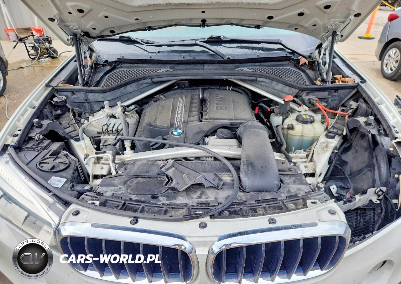 2019 BMW X6 xDrive35I VIN:5UXKU2C52K0Z63113 - 12