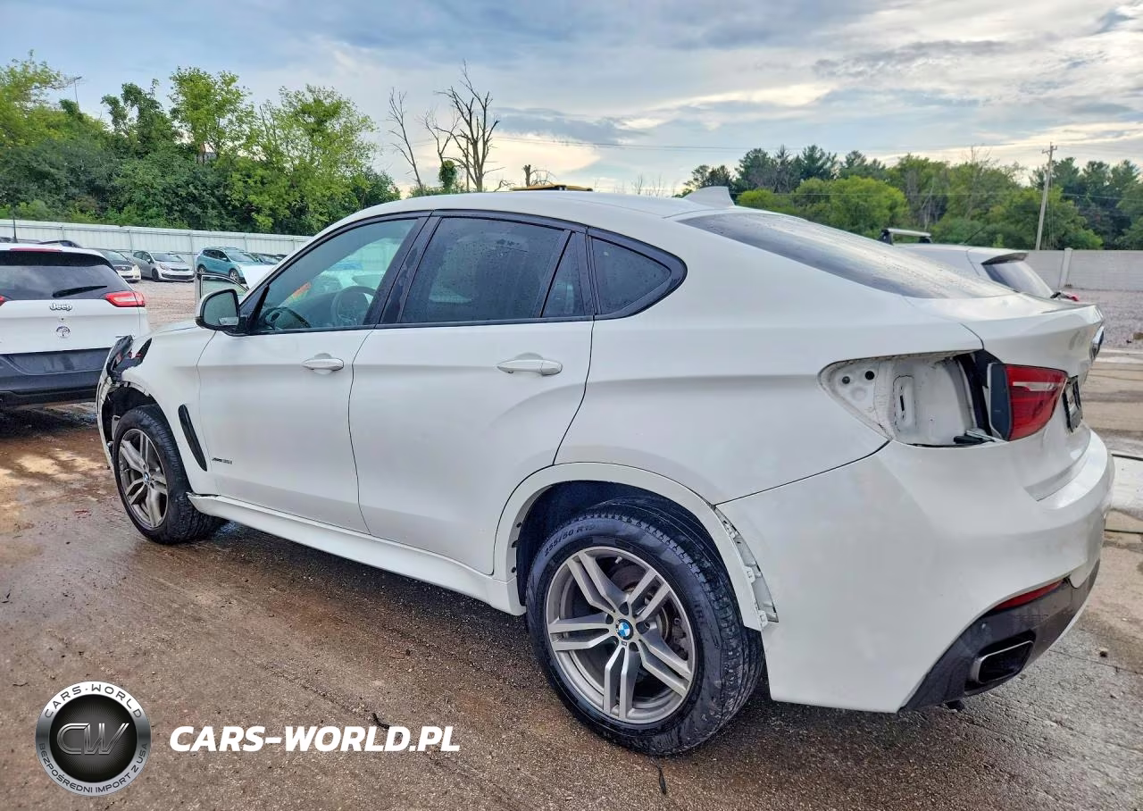 2019 BMW X6 xDrive35I VIN:5UXKU2C52K0Z63113 - 2