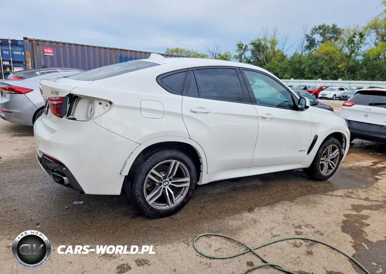 2019 BMW X6 xDrive35I VIN:5UXKU2C52K0Z63113 - 3