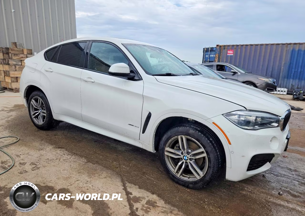 2019 BMW X6 xDrive35I VIN:5UXKU2C52K0Z63113 - 4