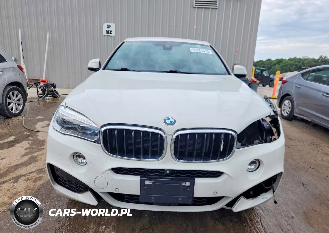 2019 BMW X6 xDrive35I VIN:5UXKU2C52K0Z63113 - 5