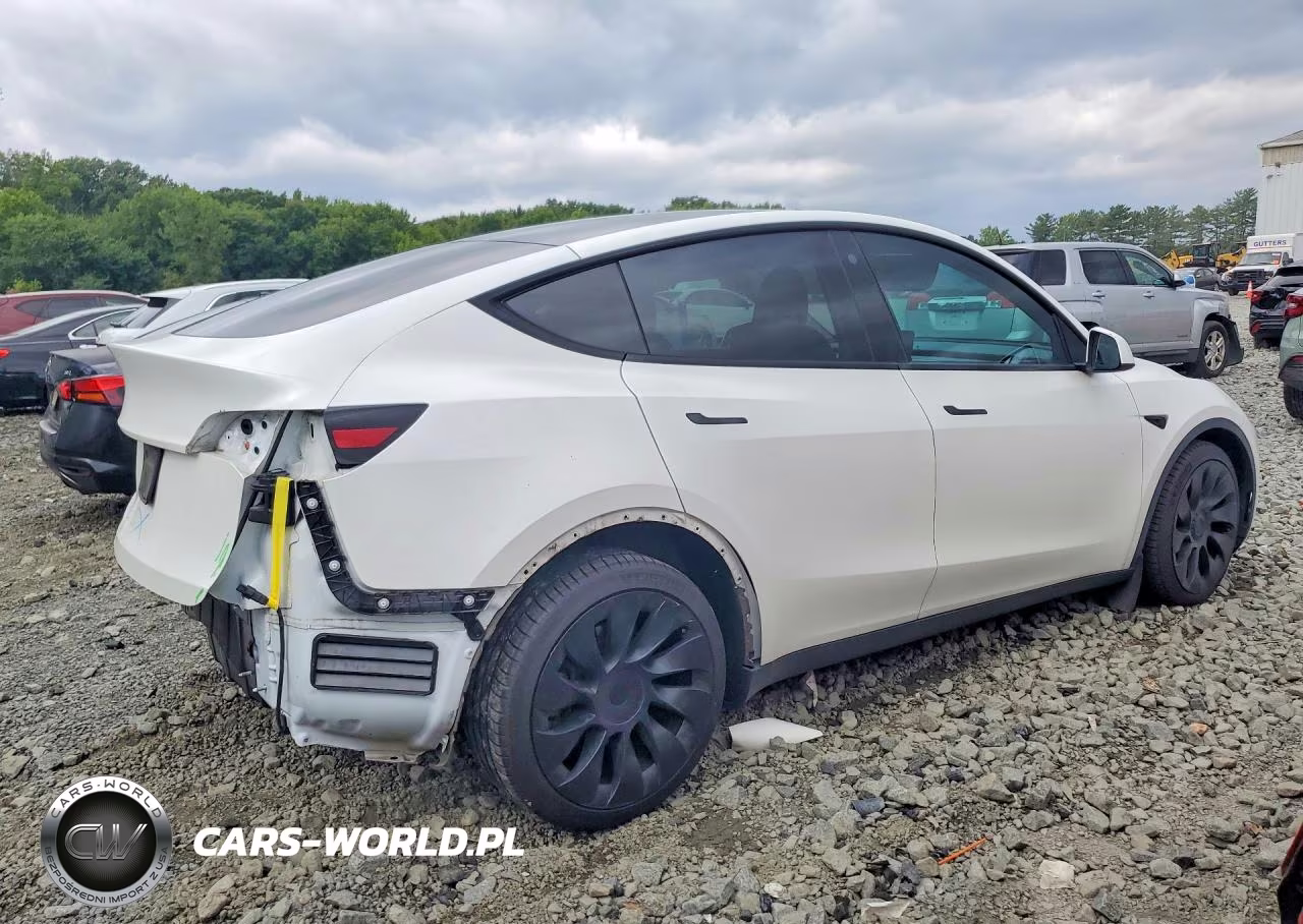 2023 Tesla Model Y VIN:7SAYGDEE9PA047744 - 3