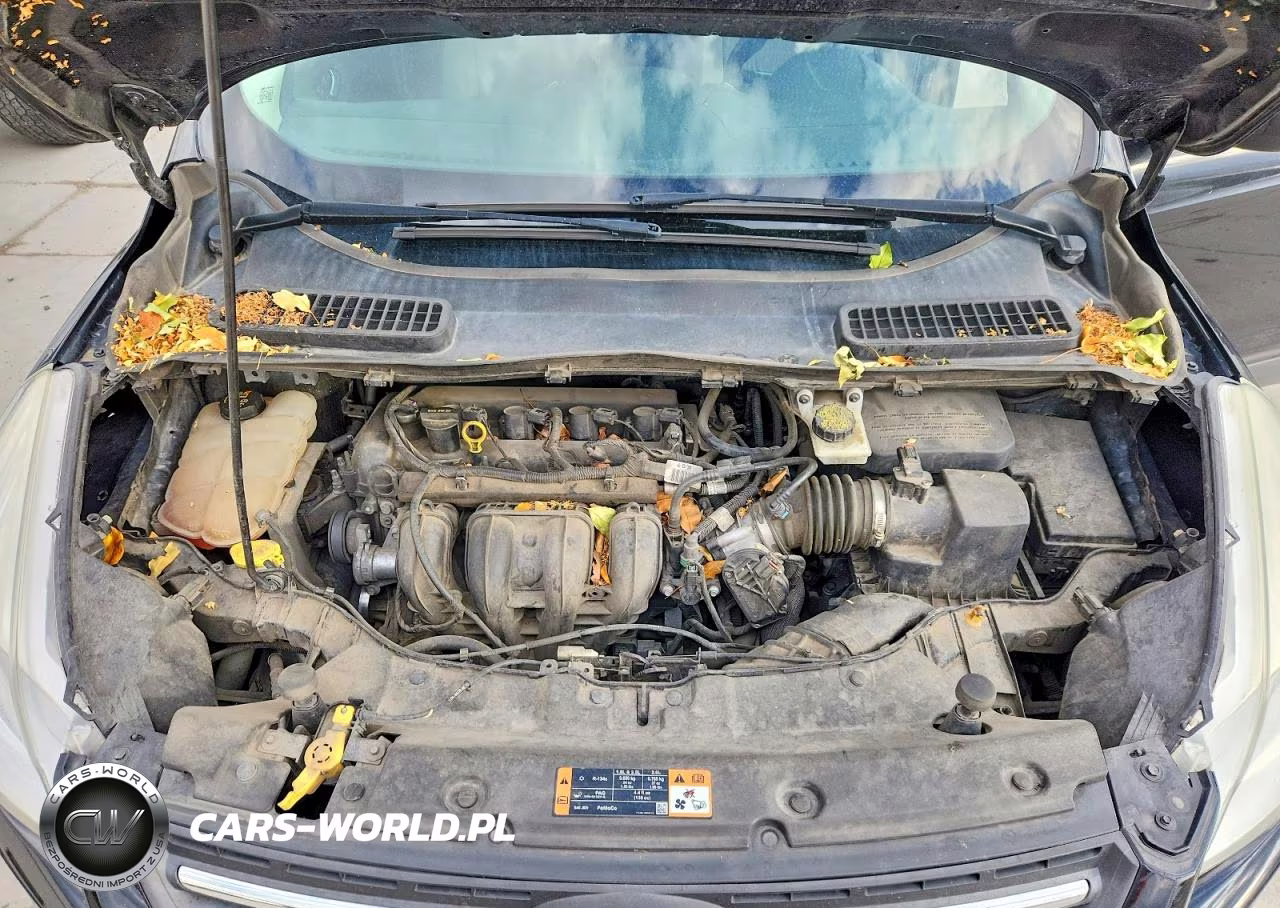 2015 Ford Escape Se VIN:1FMCU0G79FUB69595 - 11