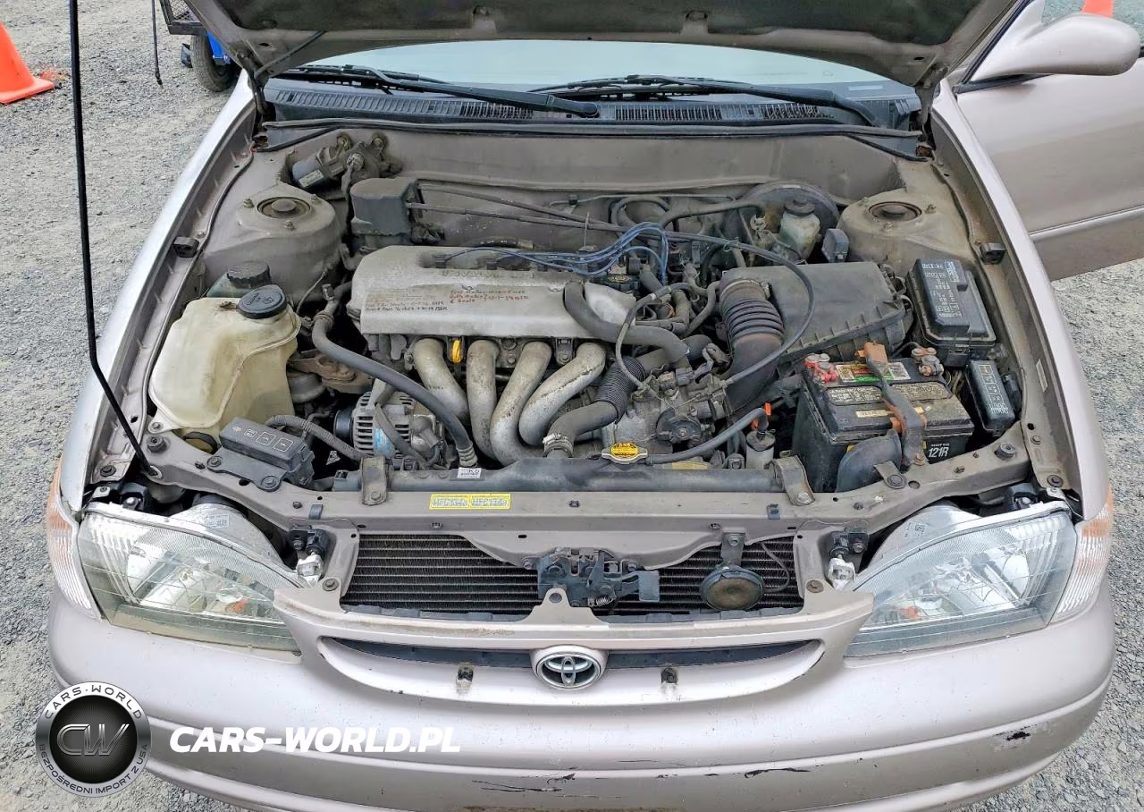 1998 Toyota Corolla Ve VIN:1NXBR18E6WZ108558 - 11