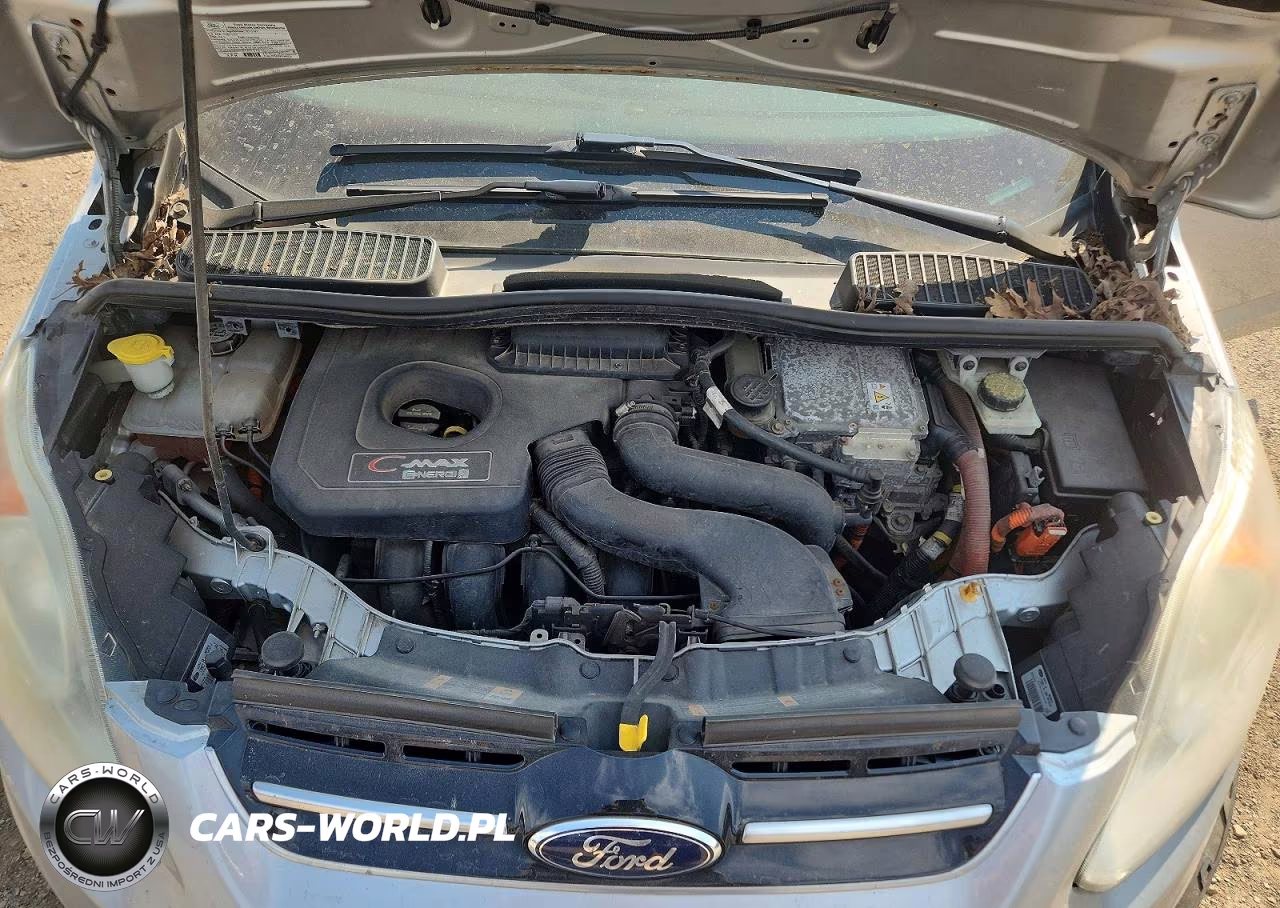 2013 Ford C-Max Premium VIN:1FADP5CU1DL511008 - 11