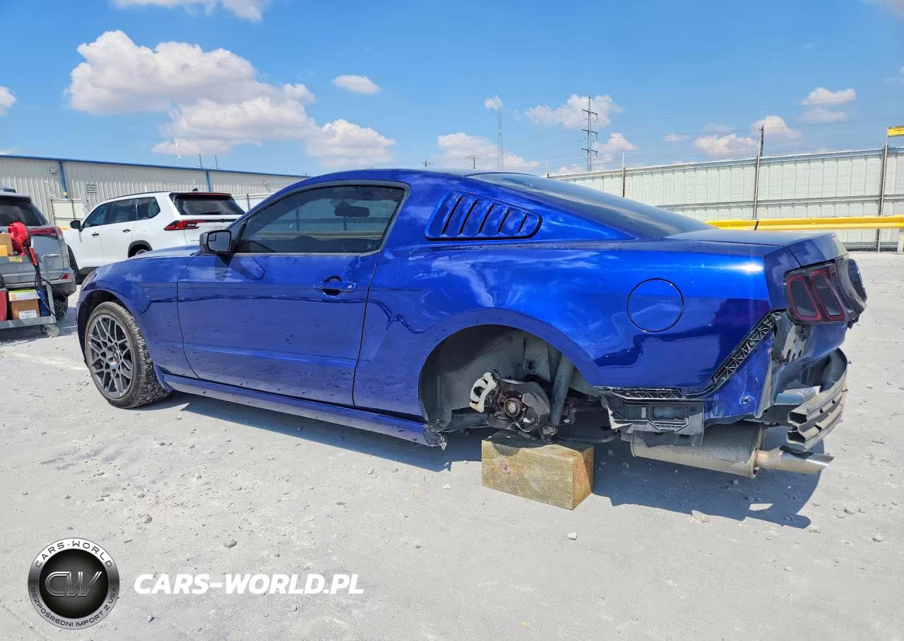 2014 Ford Mustang VIN:1ZVBP8AM5E5332513 - 2