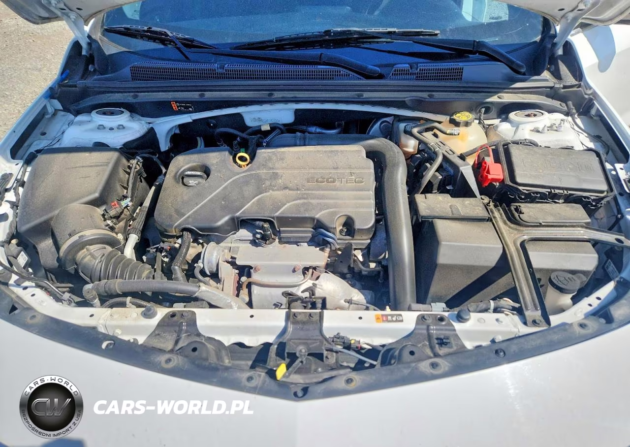2019 Chevrolet Malibu Ls VIN:1G1ZB5ST3KF142731 - 11