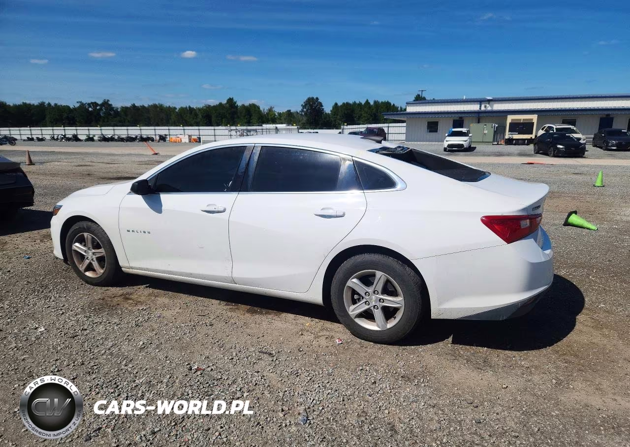 2019 Chevrolet Malibu Ls VIN:1G1ZB5ST3KF142731 - 2