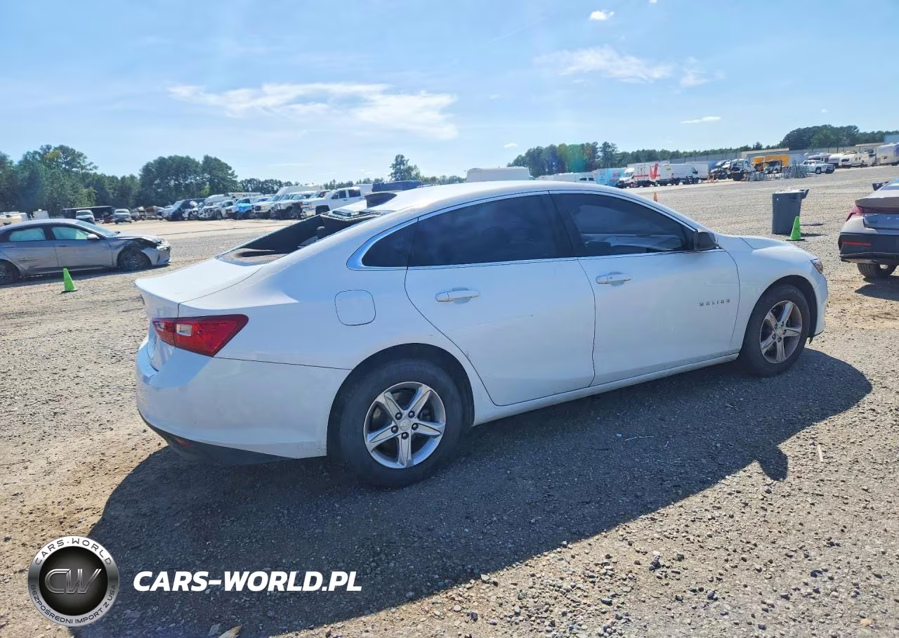 2019 Chevrolet Malibu Ls VIN:1G1ZB5ST3KF142731 - 3