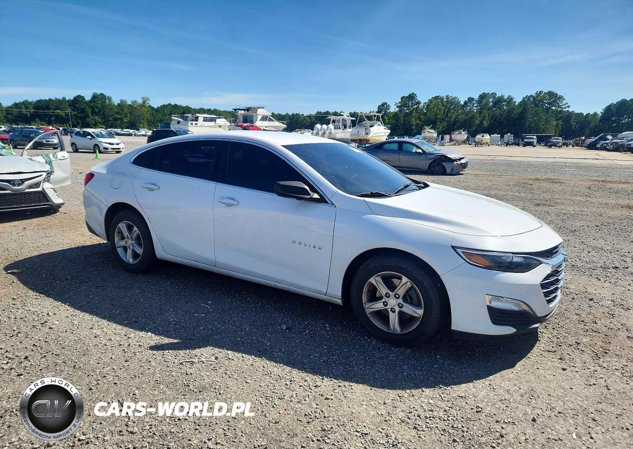 2019 Chevrolet Malibu Ls VIN:1G1ZB5ST3KF142731 - 4