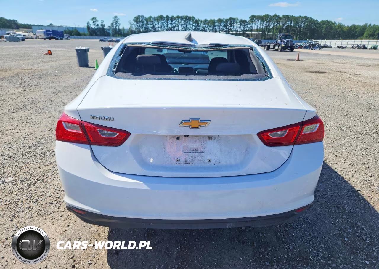 2019 Chevrolet Malibu Ls VIN:1G1ZB5ST3KF142731 - 6