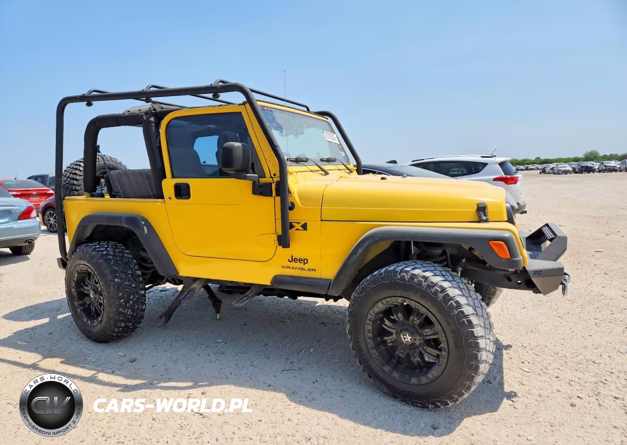 2004 Jeep Wrangler X VIN:1J4FA39S94P763123 - 4