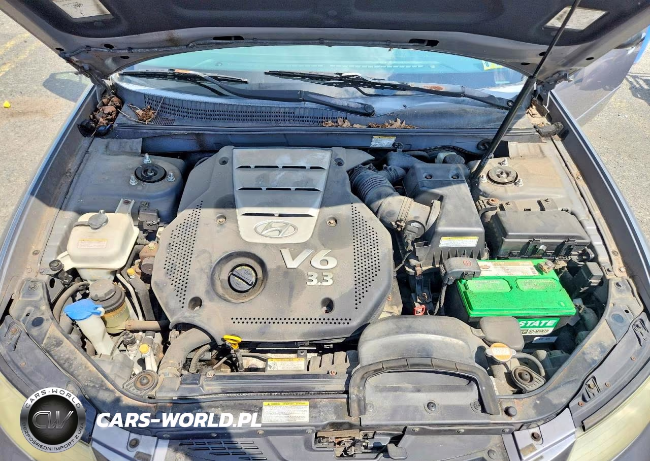 2006 Hyundai Sonata Gls V6 VIN:5NPEU46F16H024672 - 11