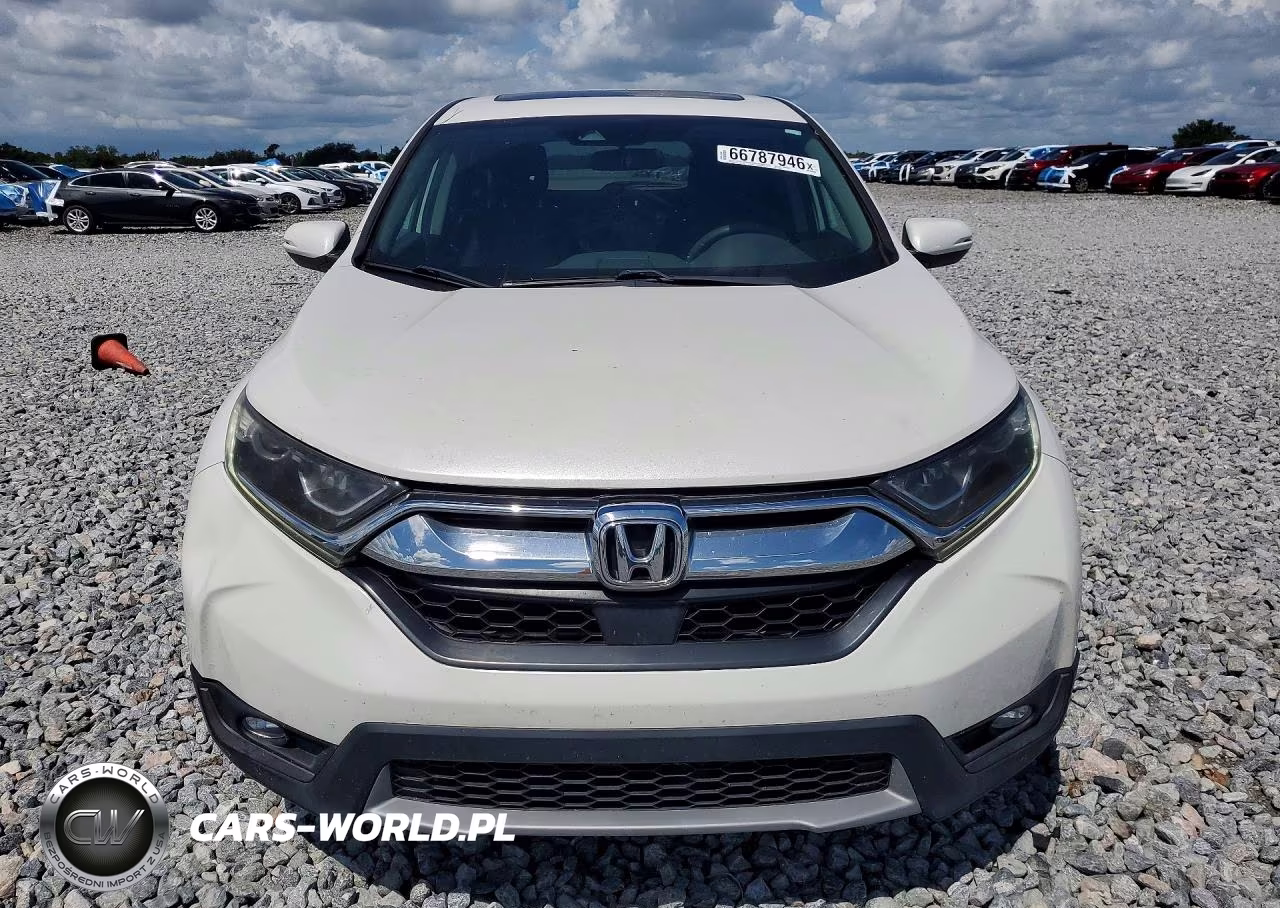 2019 Honda Cr-V Ex VIN:5J6RW1H58KA017616 - 5