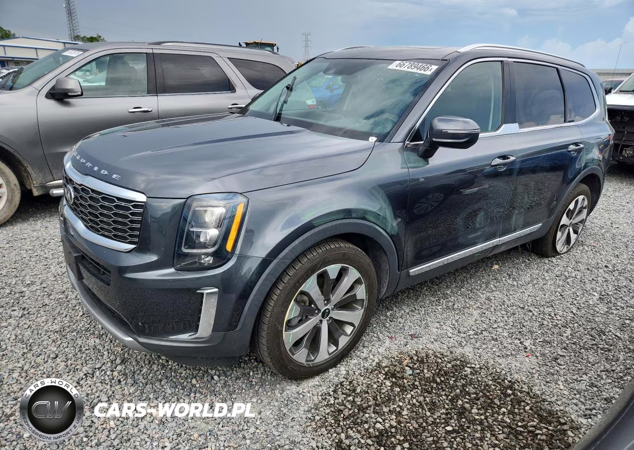 2021 Kia Telluride Ex VIN:5XYP34HC4MG154187 - 1