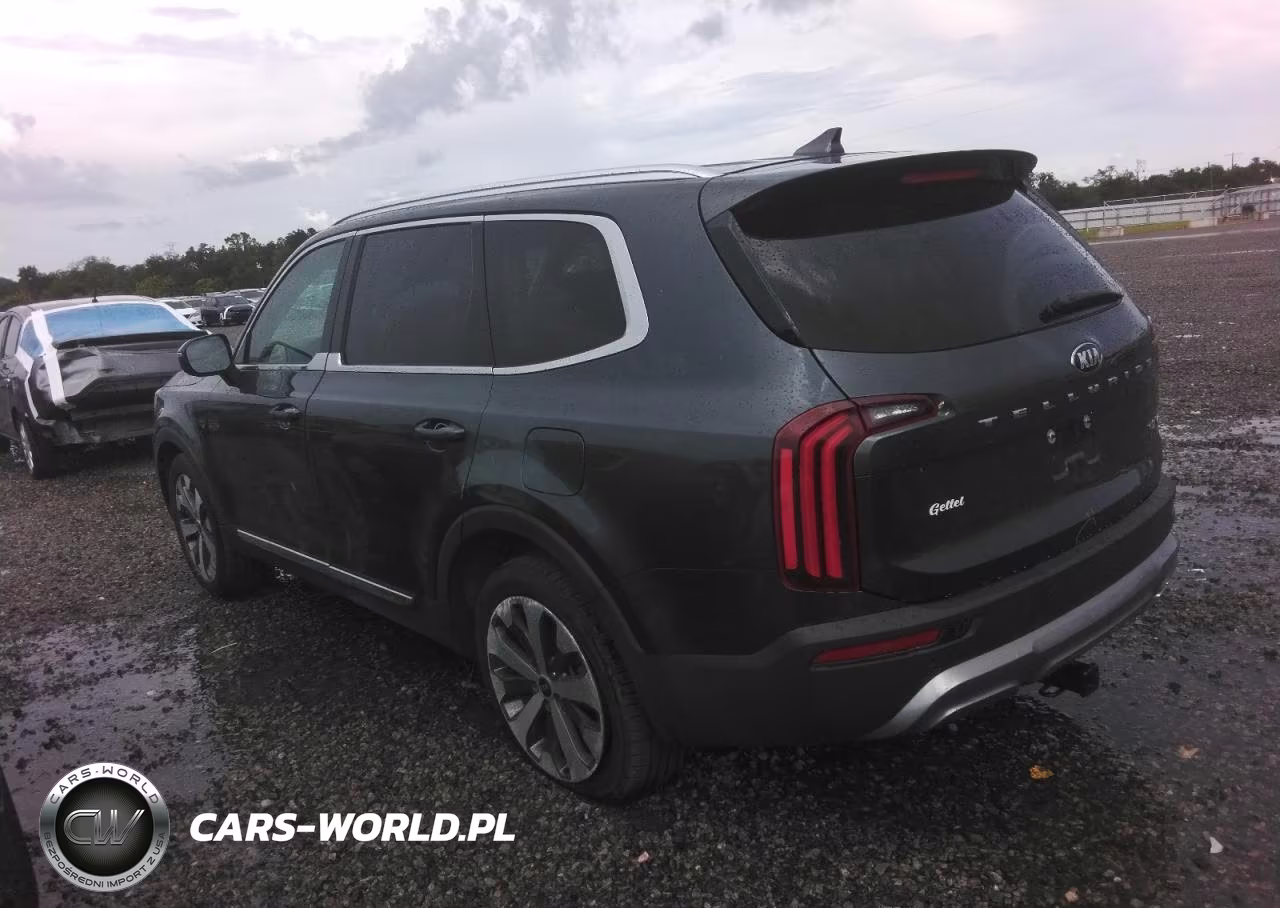 2021 Kia Telluride Ex VIN:5XYP34HC4MG154187 - 2