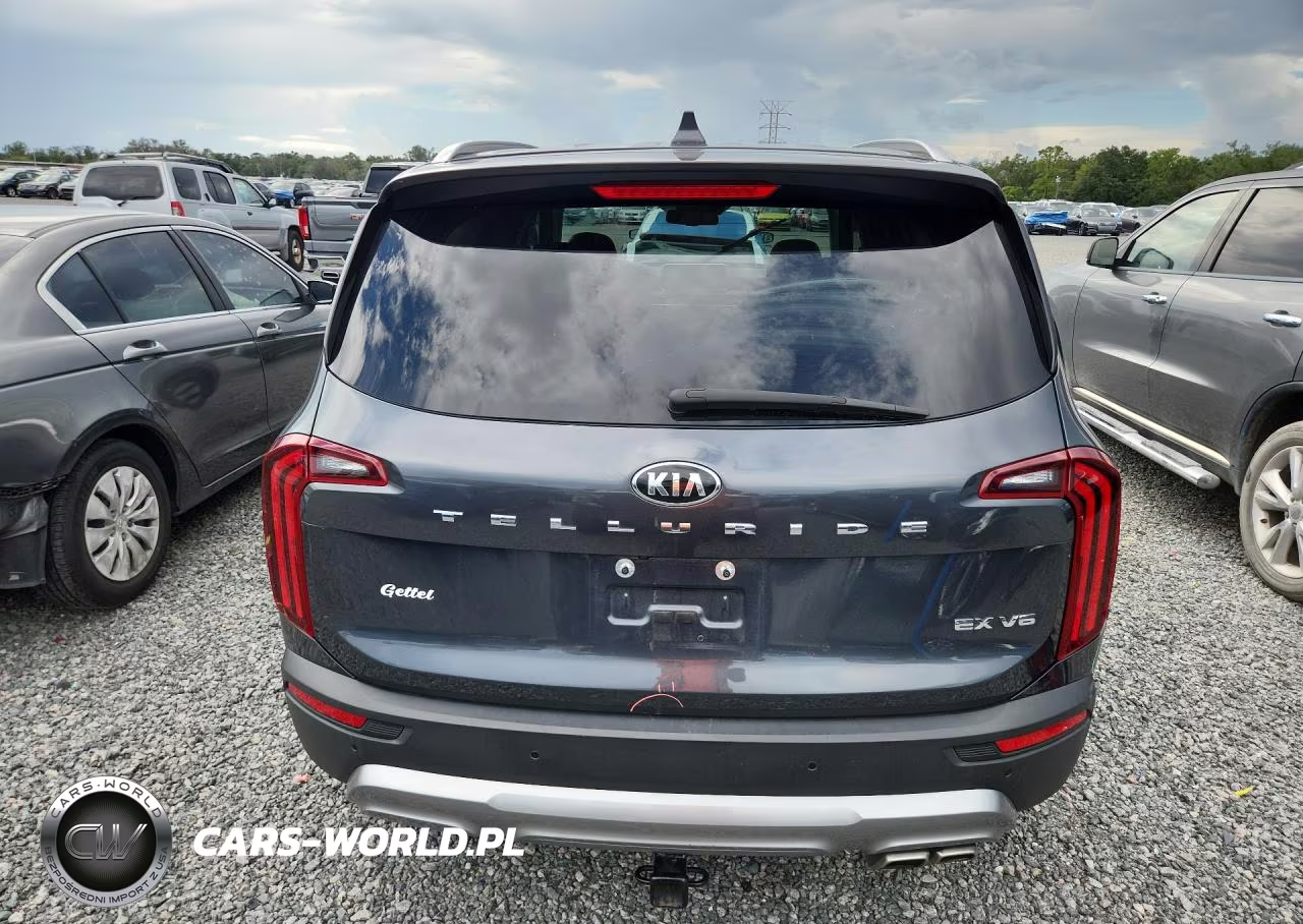 2021 Kia Telluride Ex VIN:5XYP34HC4MG154187 - 6