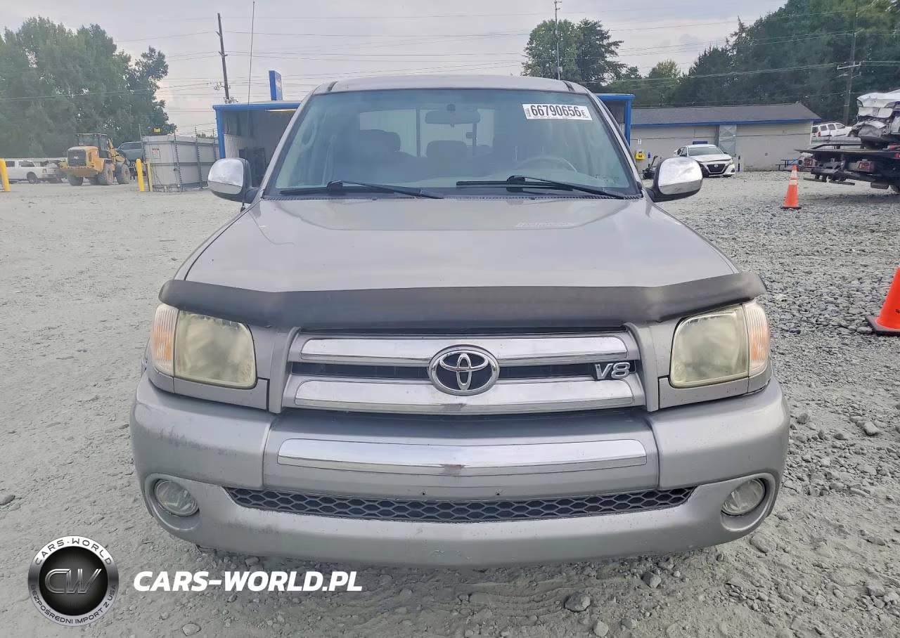 2005 Toyota Tundra Access Cab Sr5 VIN:5TBBT44195S463827 - 5