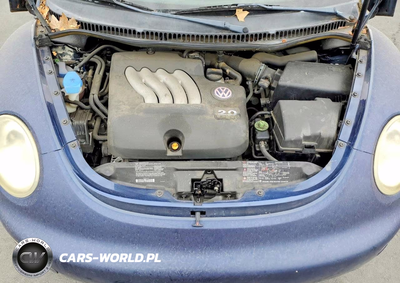 2003 Volkswagen New Beetle Gl VIN:3VWBK21C83M436343 - 11