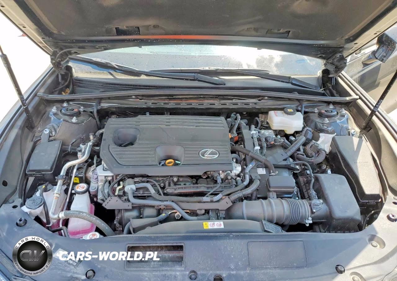 2025 Lexus Es 300H Ultra Luxury VIN:58AFA1C16SU073181 - 11