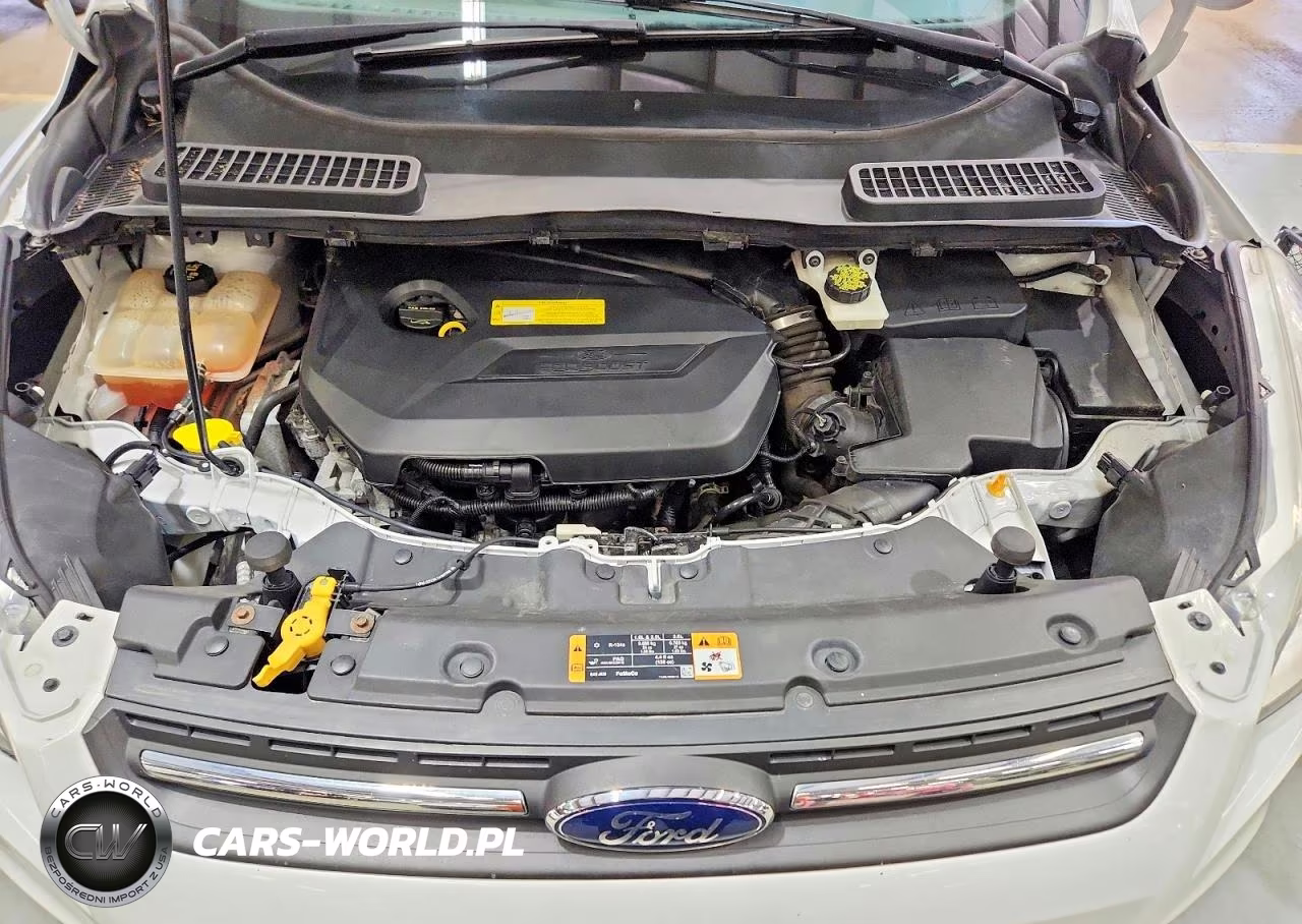2016 Ford Escape Se VIN:1FMCU9GX3GUB74751 - 12