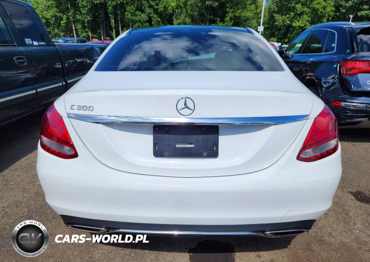 2017 Mercedes-Benz C 300 VIN:55SWF4JBXHU201836 - 6