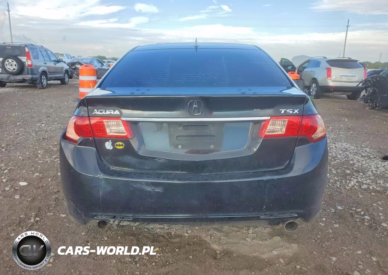 2013 Acura Tsx VIN:JH4CU2F46DC010431 - 6