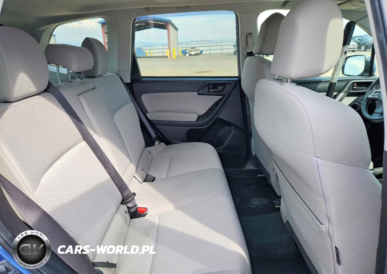 2015 Subaru Forester 2.5I Premium VIN:JF2SJADC8FH534584 - 10