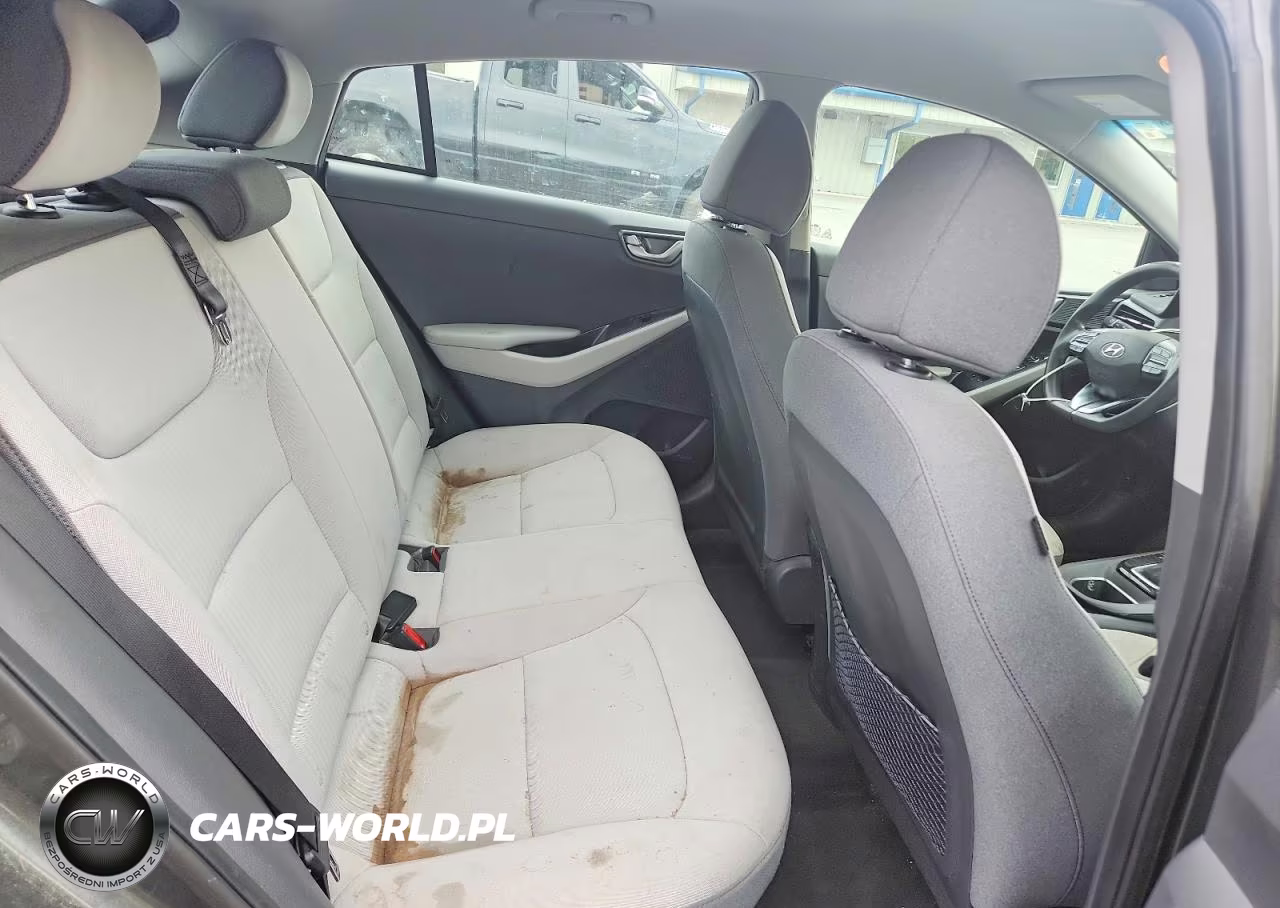 2021 Hyundai Ioniq Blue VIN:KMHC65LC8MU252751 - 10