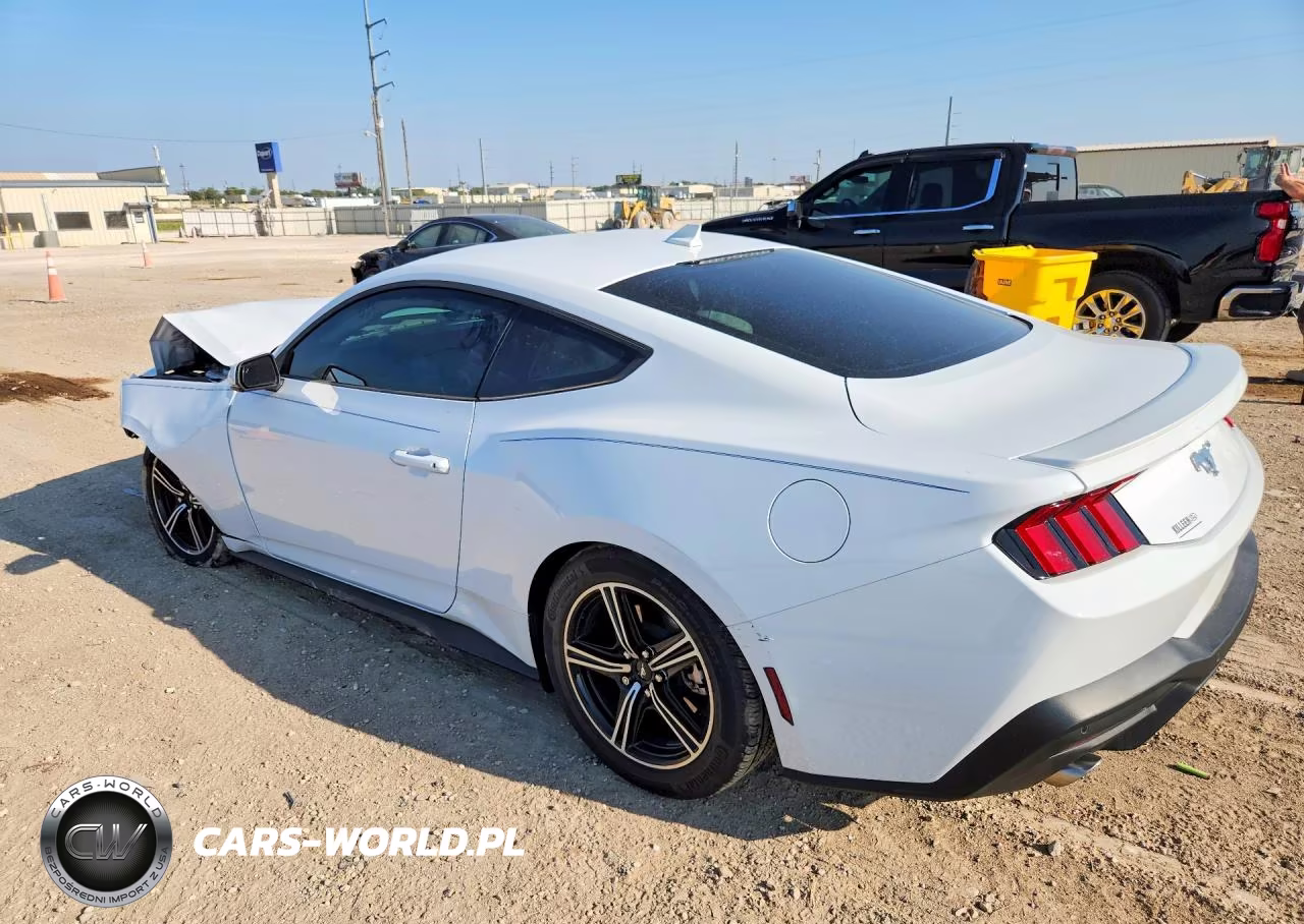 2024 Ford Mustang VIN:1FA6P8TH6R5126181 - 2