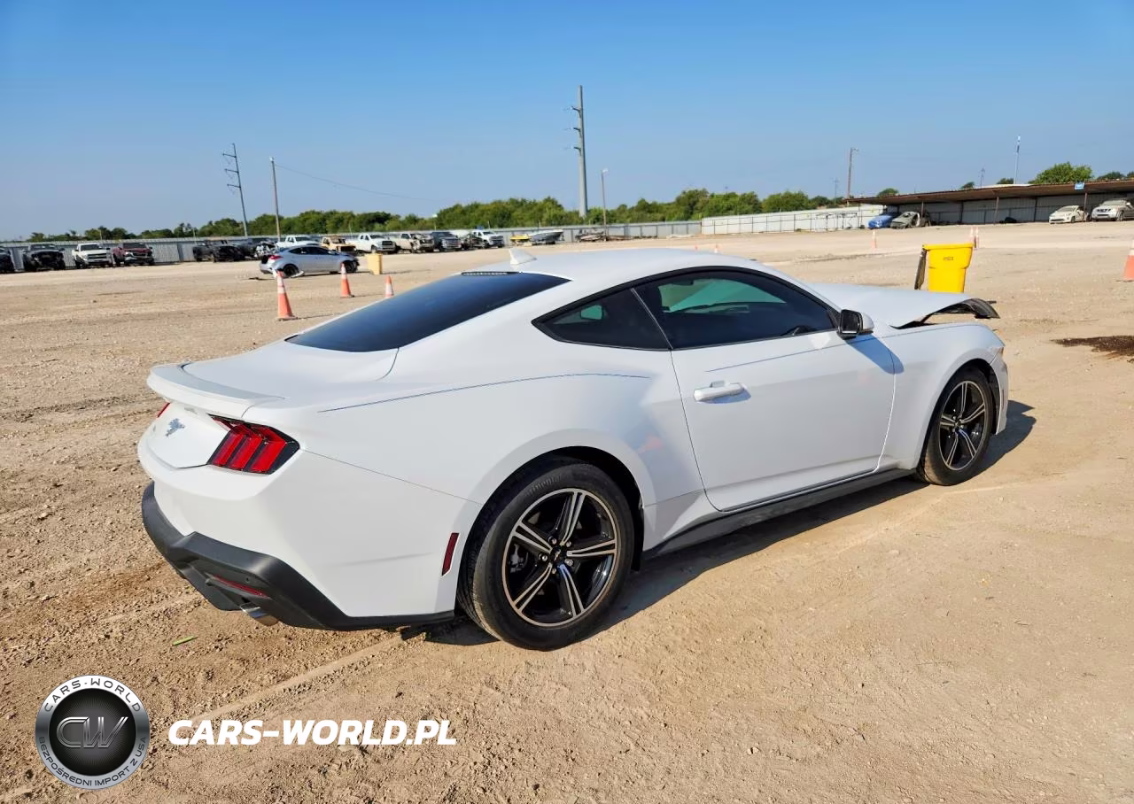 2024 Ford Mustang VIN:1FA6P8TH6R5126181 - 3
