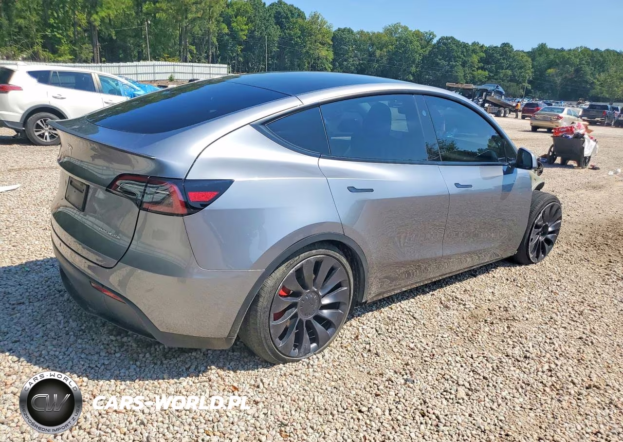 2024 Tesla Model Y VIN:7SAYGDEF6RA321140 - 3