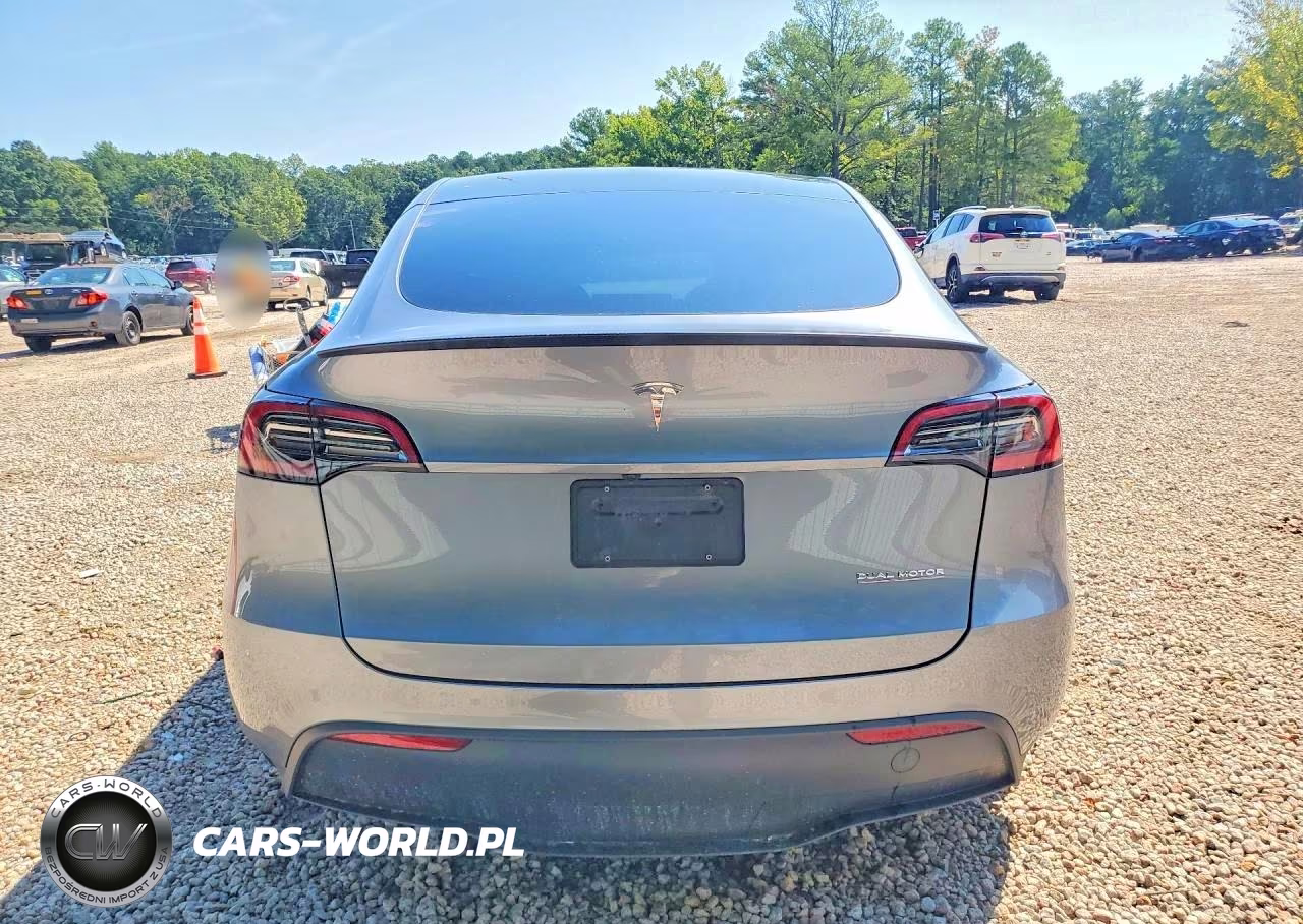 2024 Tesla Model Y VIN:7SAYGDEF6RA321140 - 6