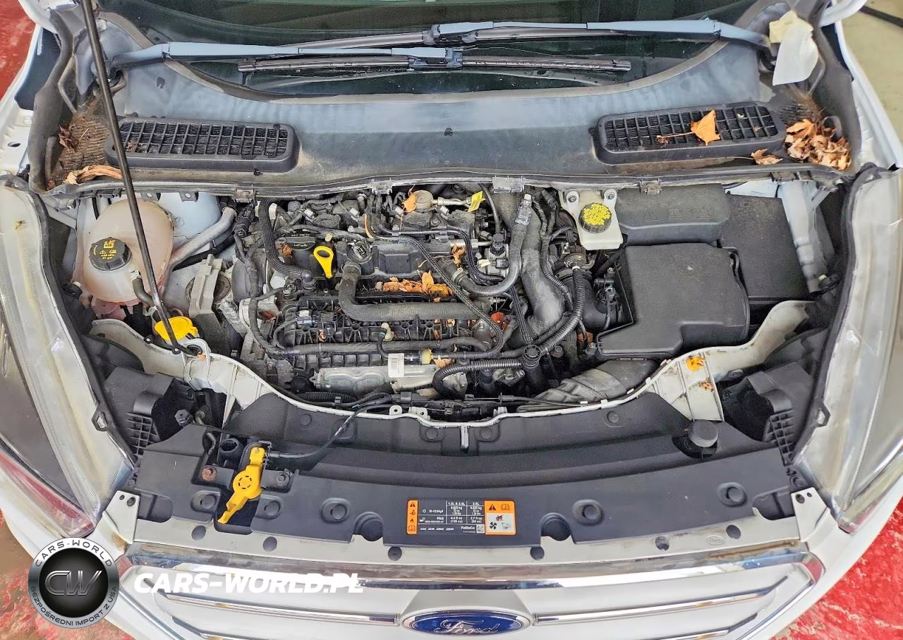 2019 Ford Escape Se VIN:1FMCU9GD5KUB97995 - 12