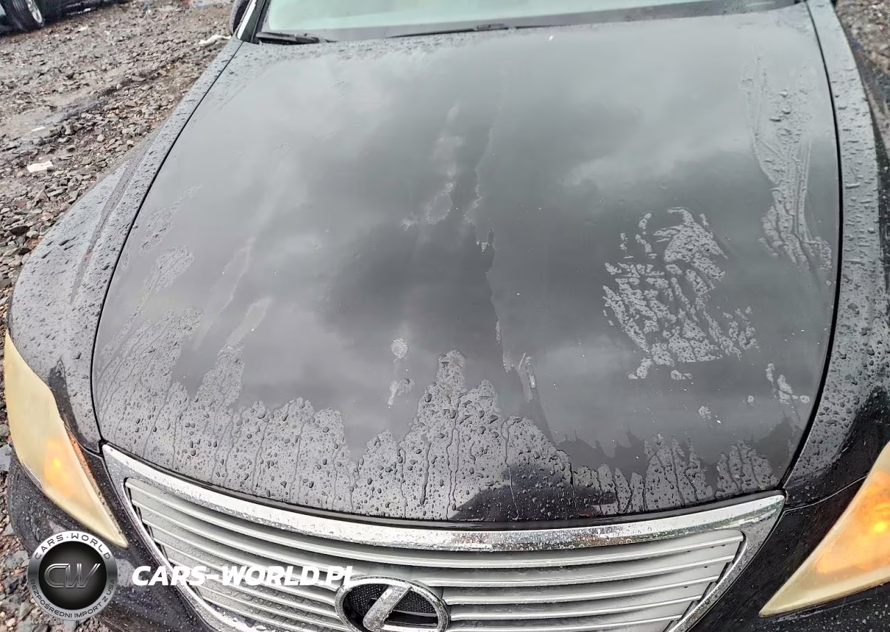 2008 Lexus Ls 460 VIN:JTHBL46F385084007 - 11