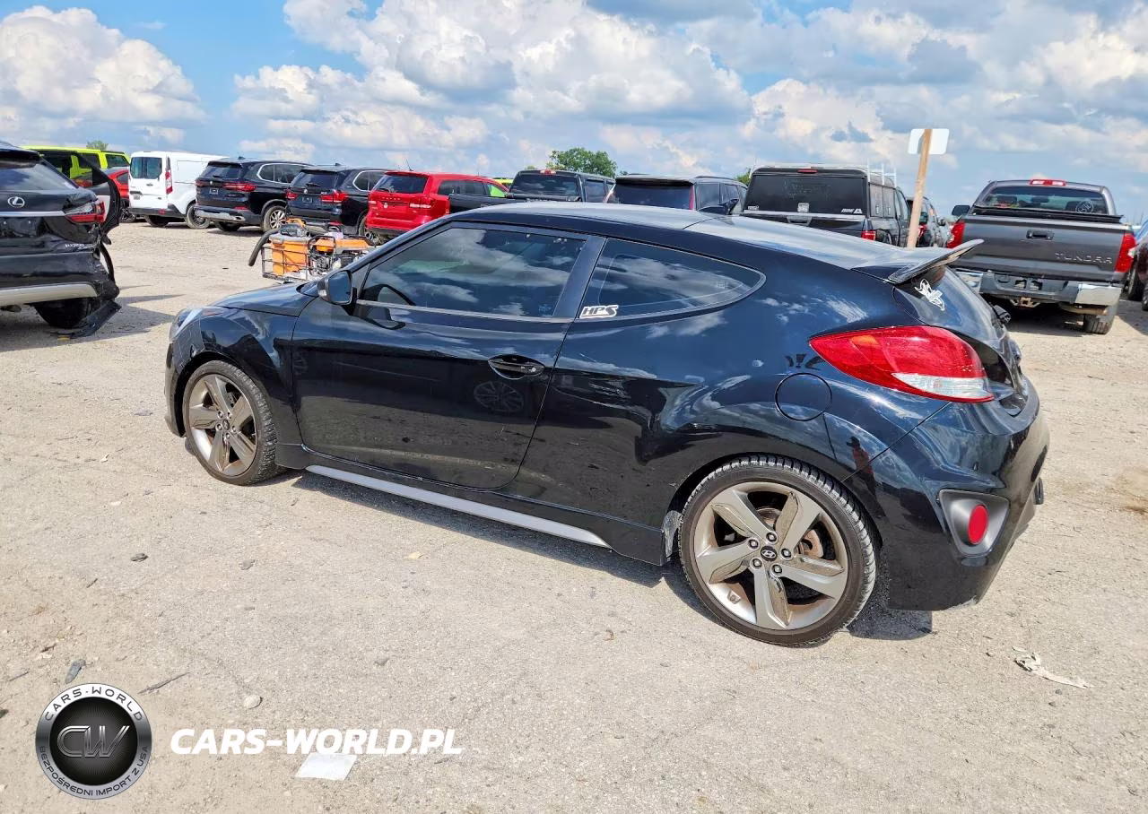 2013 Hyundai Veloster Turbo VIN:KMHTC6AE7DU129056 - 2