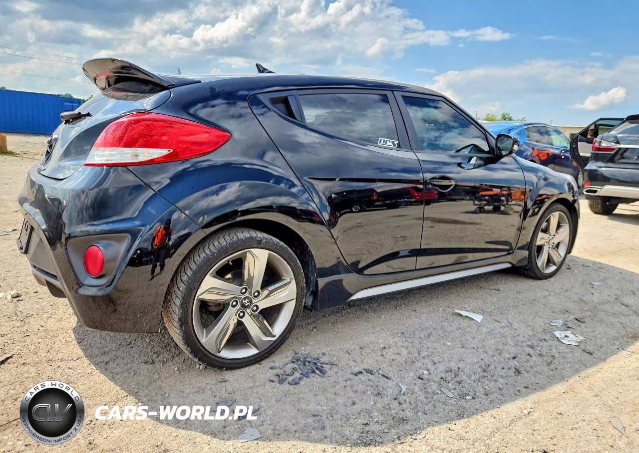 2013 Hyundai Veloster Turbo VIN:KMHTC6AE7DU129056 - 3