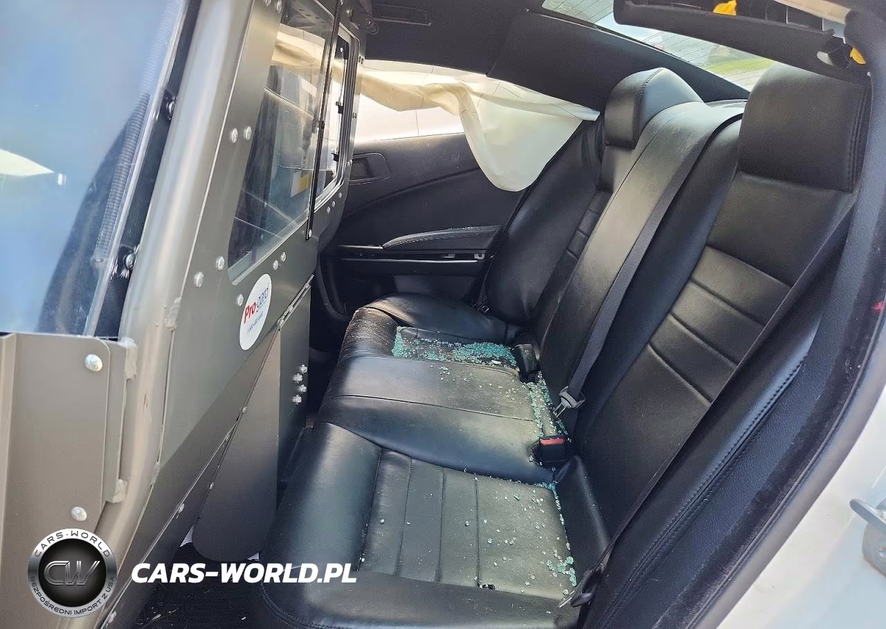 2019 Dodge Charger Police VIN:2C3CDXAGXKH742141 - 10