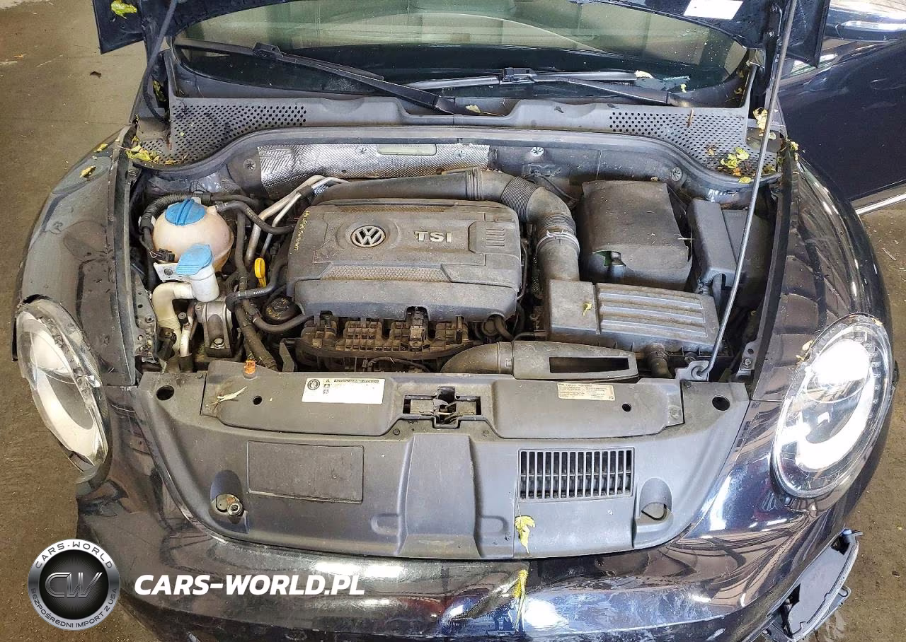2013 Volkswagen Beetle Turbo VIN:3VWVT7AT9DM685193 - 11