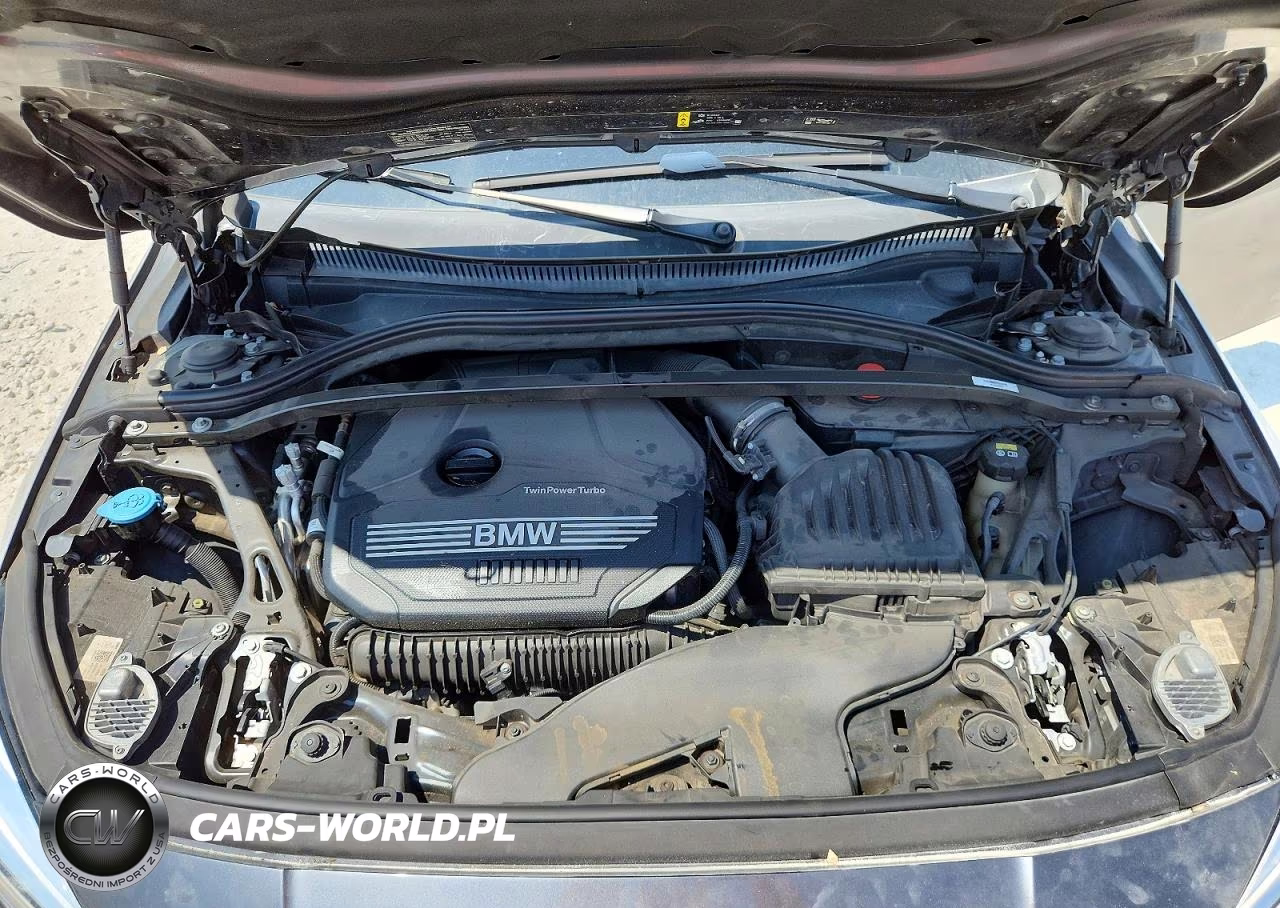 2021 BMW 228I VIN:WBA53AK09M7J08689 - 11