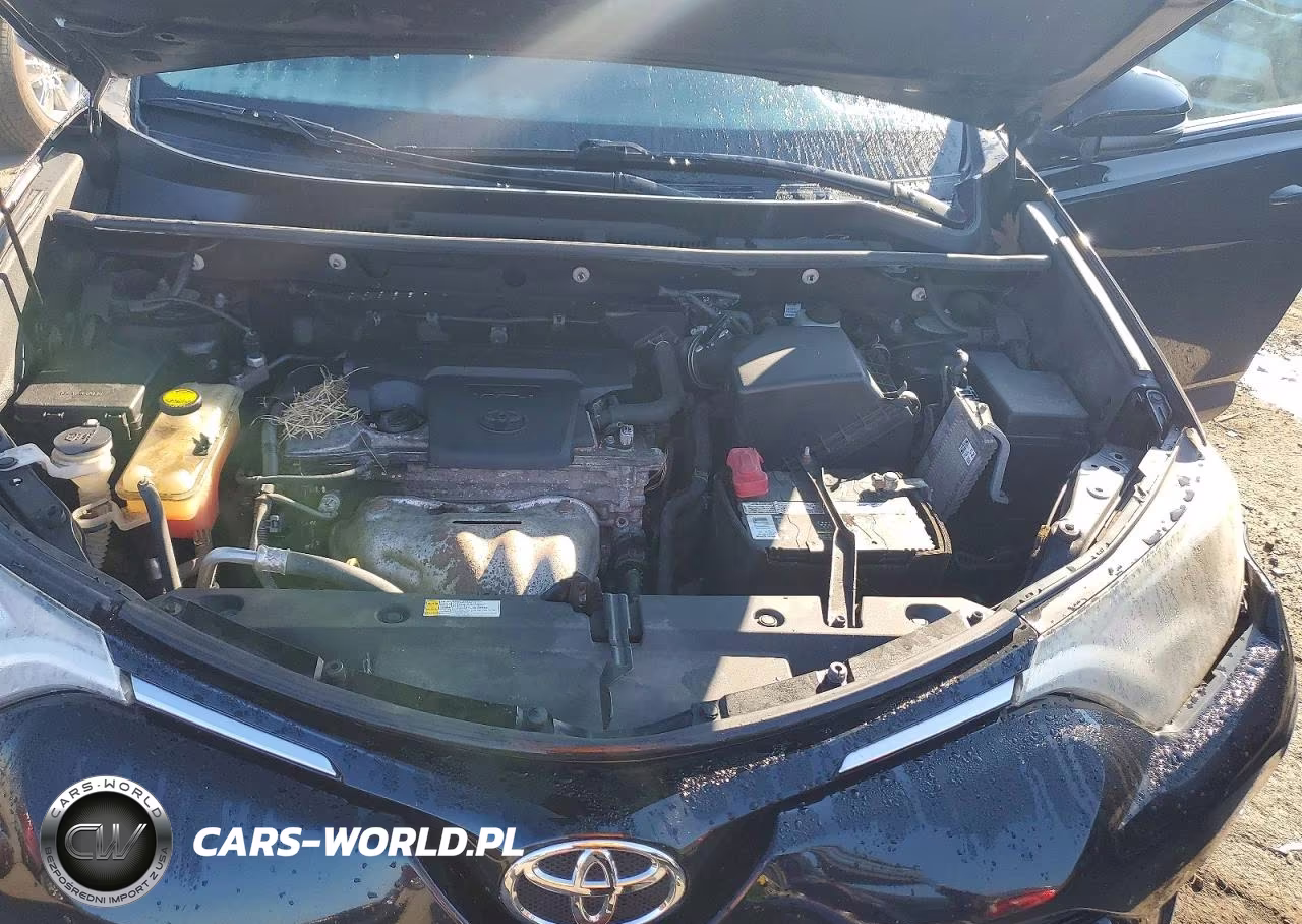 2016 Toyota Rav4 Xle VIN:2T3RFREV6GW449090 - 12